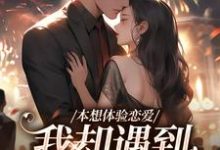 本想体验恋爱,我却遇到坑爹大佬!盛夏在线章节免费阅读-酷猫文学