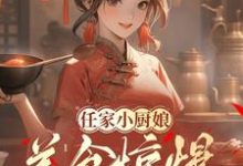 任家小厨娘：美食惊爆古代全天下小说完结版章节免费阅读-酷猫文学