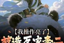 《被造反家李二抓住造反?我操作亮了》小说大结局免费试读 李承乾小说-酷猫文学