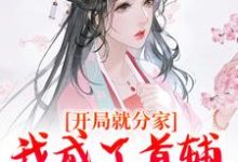 开局就分家,我成了首辅家的锦鲤妻小说全文阅读需要付费吗?寻找免费资源-酷猫文学