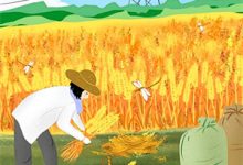 完结版《大婚当日，夫君为爱冲刺救白月光》免费阅读-酷猫文学