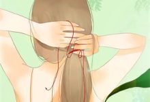 小说完整版《我成了气运女主后，被全员宠上天》免费阅读-酷猫文学