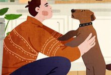 哪里可以免费找到第七次，她求饶？-酷猫文学