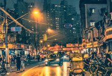 赘婿，我妻子是未来女帝小说最新章节在哪里可以读到？-酷猫文学