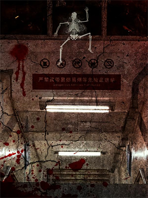 她以心似烟火小说阅读，她以心似烟火完结版